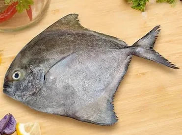 Black Pomfret(1 Kilo)