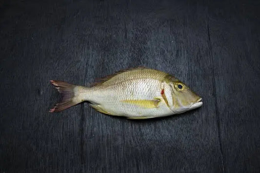 Emperor Fish(1Kilo)