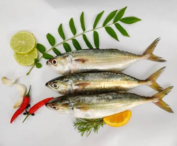 Mackerel fish on a white background with lemon, lime, red chili, and green leaves.