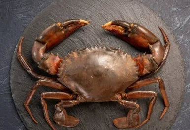 Mud Crab(1 Kilo)