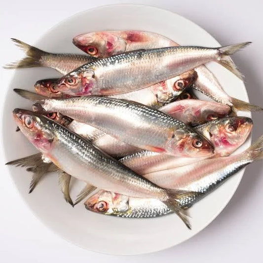 Sardines(1Kilo)