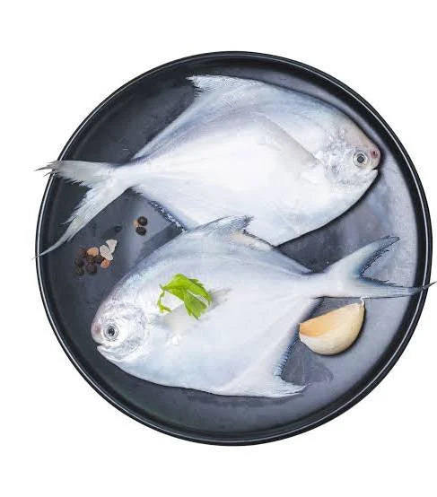 White Pomfret(1 Kilo)